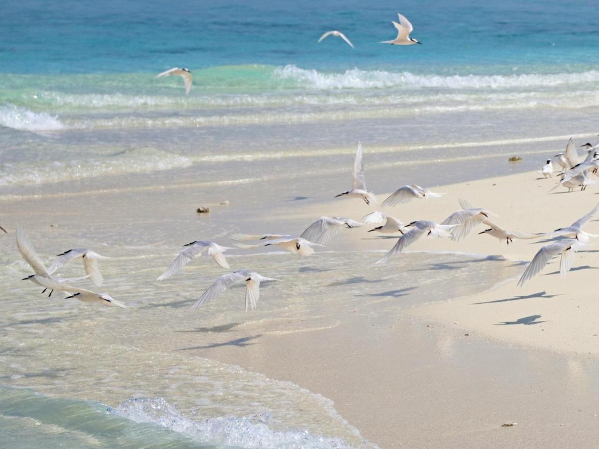 Kiha Beach Dharavandhoo Exterior photo